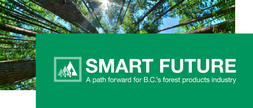 A Path Forward for B.C.'s Forest Products Industry