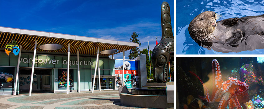 Vancouver Aquarium