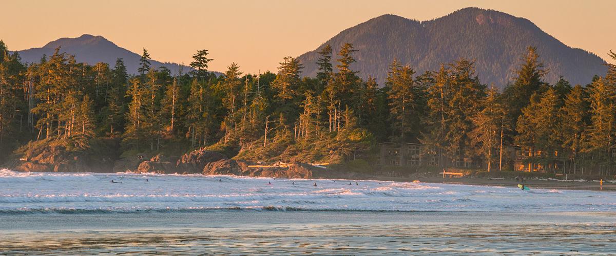 Indigenous Procurement Training