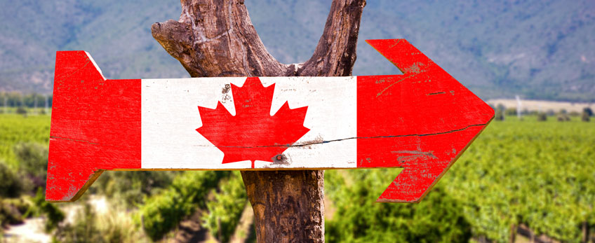 Trade Accelerator Program - B.C. Interior Cohort