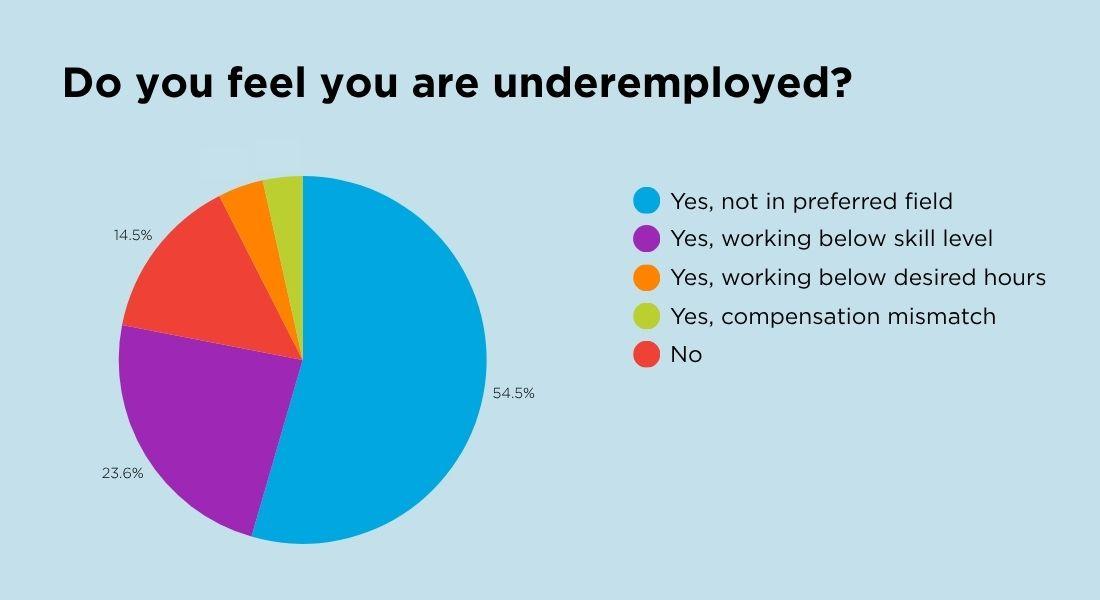 LOT survey pie chart 1